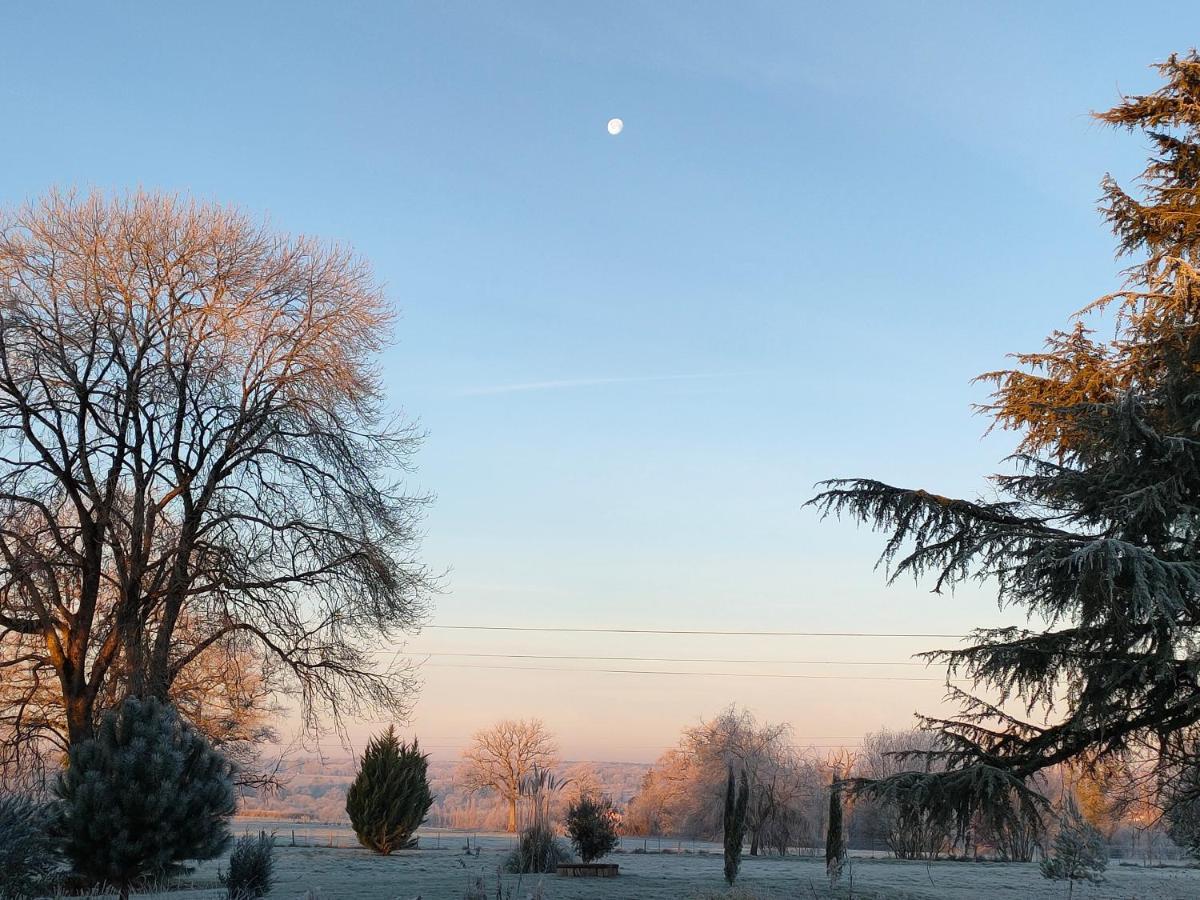 Domaine De Panissac Bed and Breakfast Berneuil  Buitenkant foto